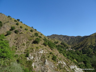 nte Scuderi-05-09-2020 09